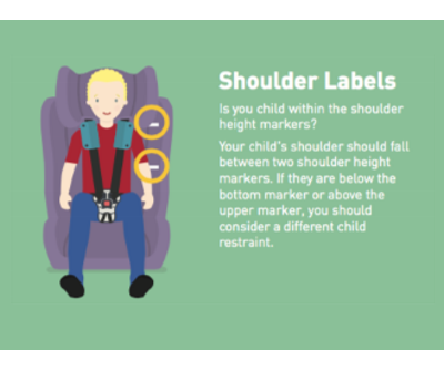 Checking shoulder height labels in Cranbourne
